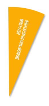 尊龙体育(中国区)官方网站