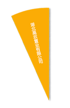 尊龙体育(中国区)官方网站