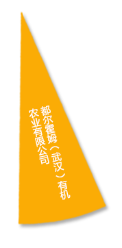 尊龙体育(中国区)官方网站