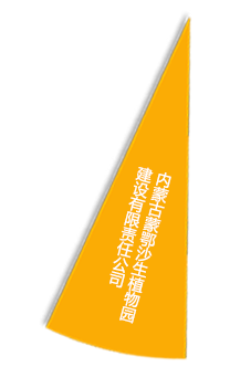尊龙体育(中国区)官方网站
