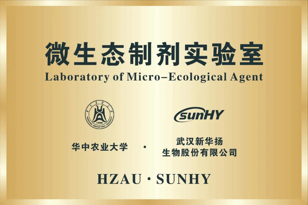 尊龙体育(中国区)官方网站