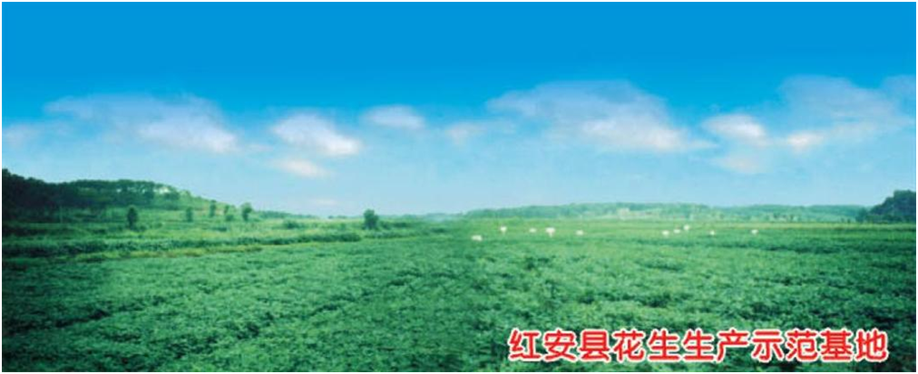 尊龙体育(中国区)官方网站