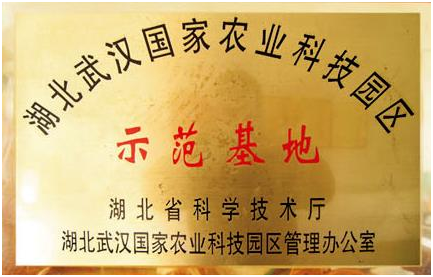 尊龙体育(中国区)官方网站