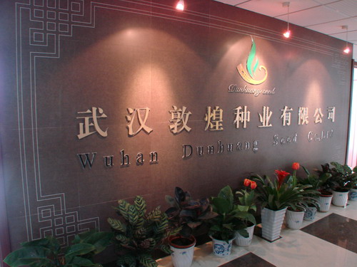 尊龙体育(中国区)官方网站