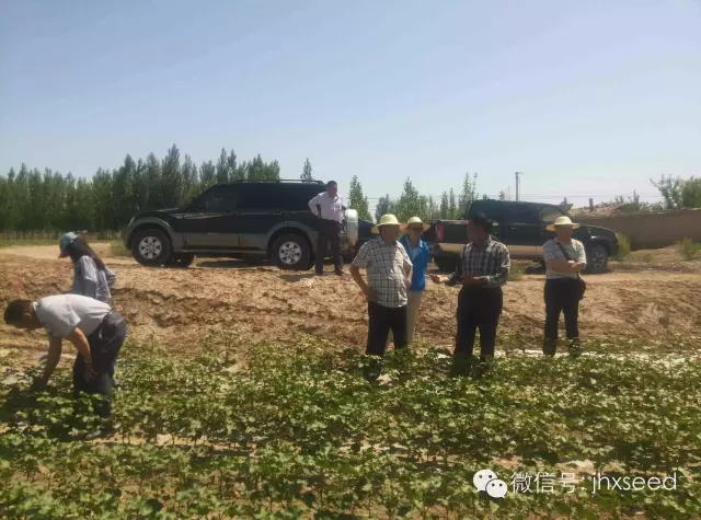 尊龙体育(中国区)官方网站