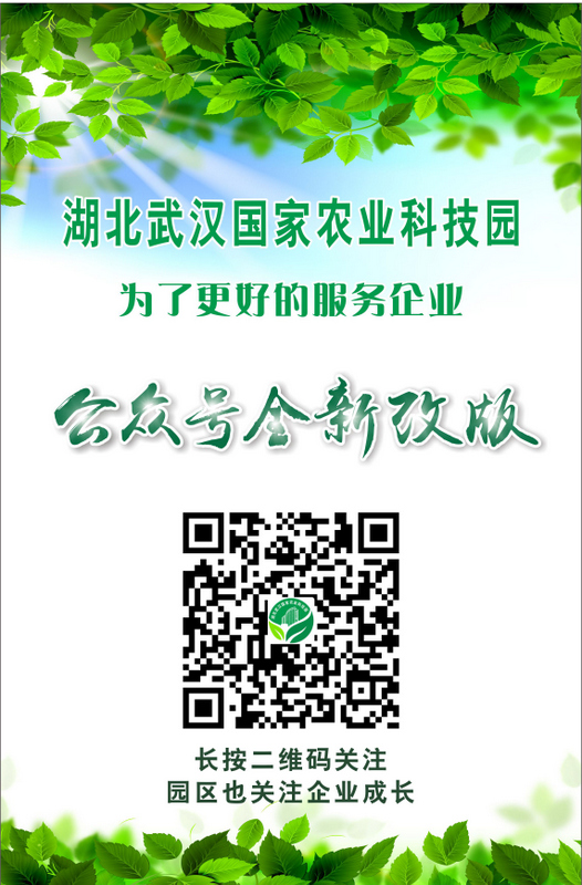 尊龙体育(中国区)官方网站