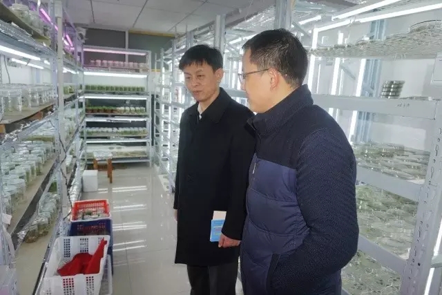 尊龙体育(中国区)官方网站