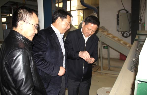 尊龙体育(中国区)官方网站