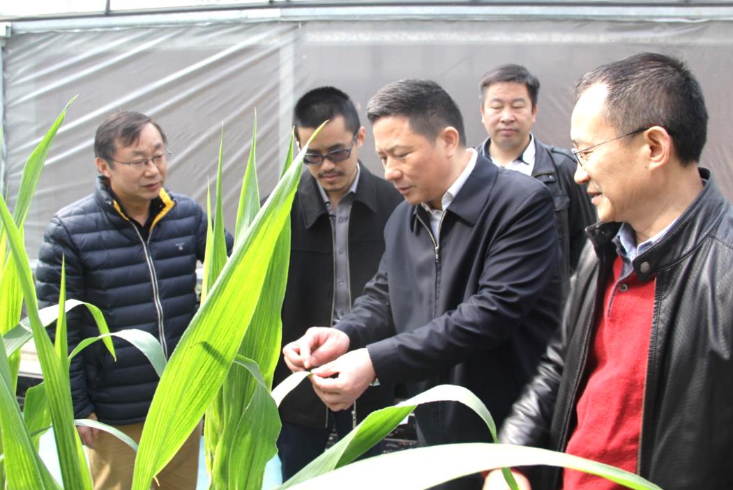 尊龙体育(中国区)官方网站
