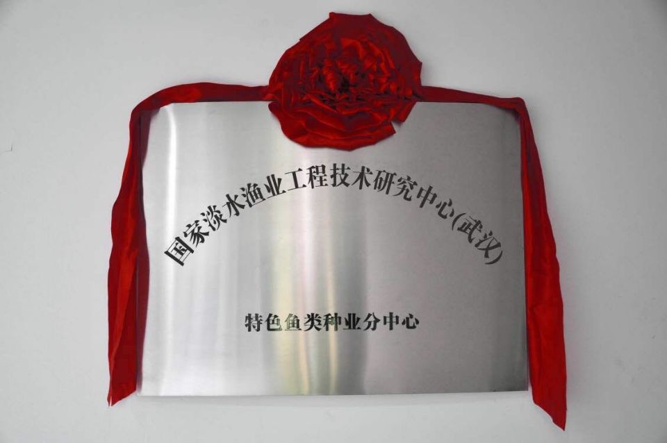尊龙体育(中国区)官方网站