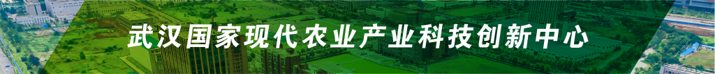 尊龙体育(中国区)官方网站